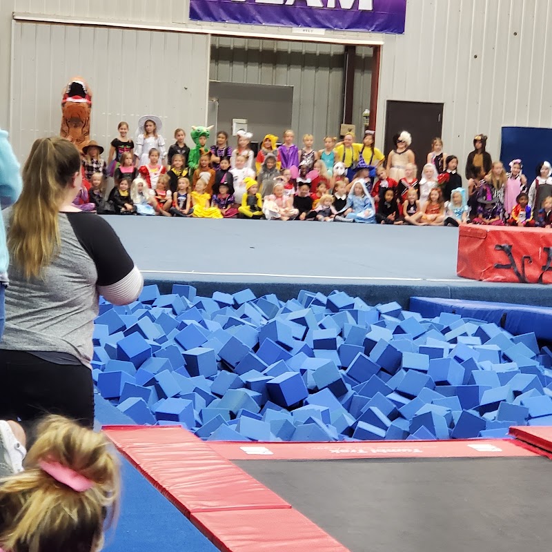 MEKS Gymnastics Academy, LLC photo 3