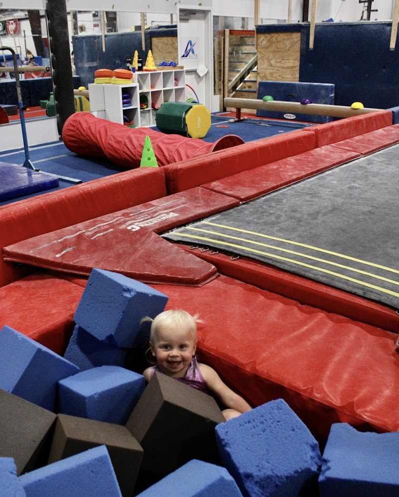 Austin Elite Gymnastics Training Center photo 2
