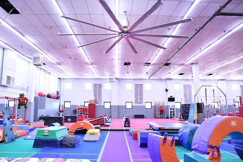 Dynamite Gymnastics