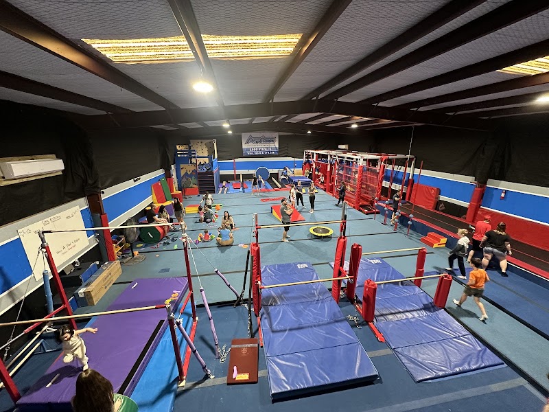 The Arise Gym