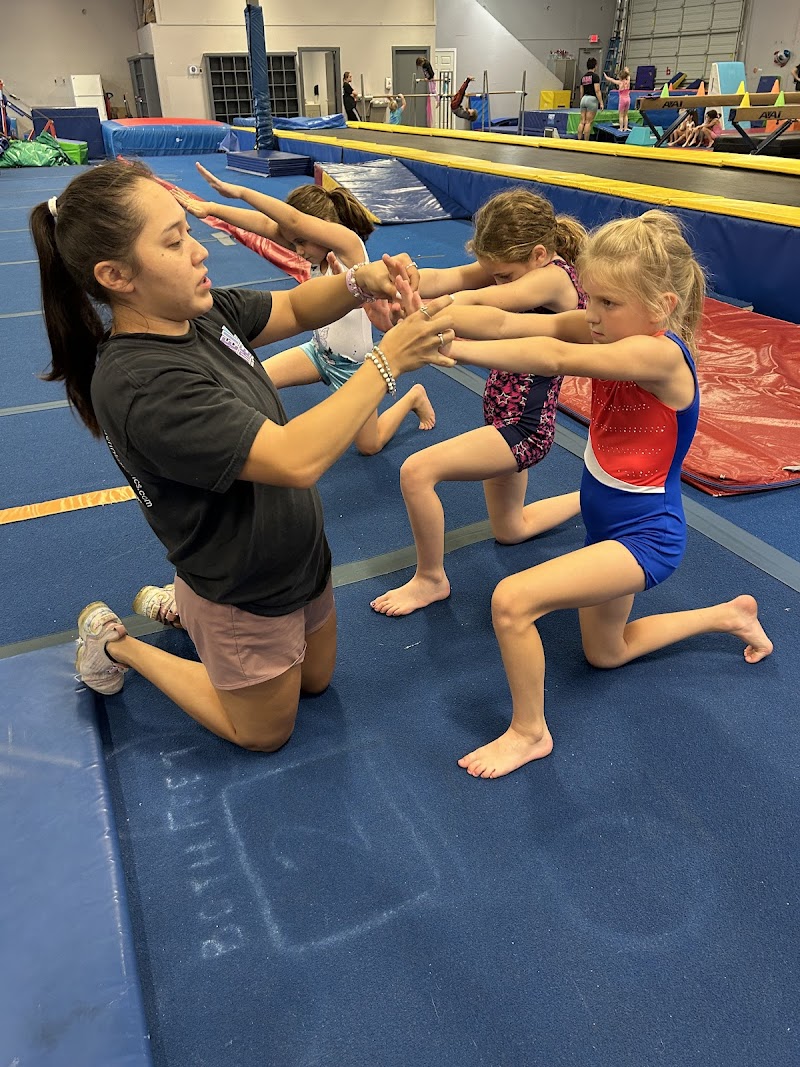 Aerial Athletics photo 2