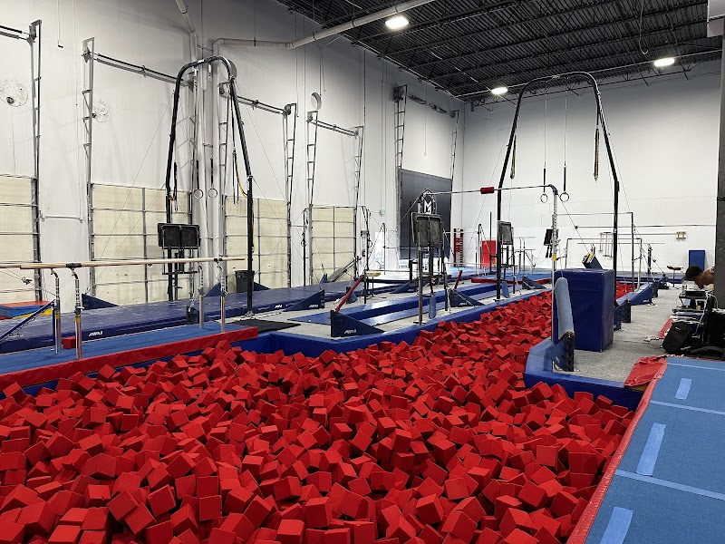 USA Gymnastics World photo 2