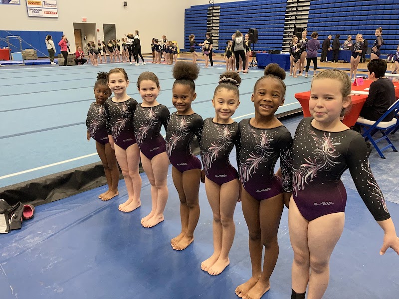 Prestige Gymnastics/Lakeshore photo 3