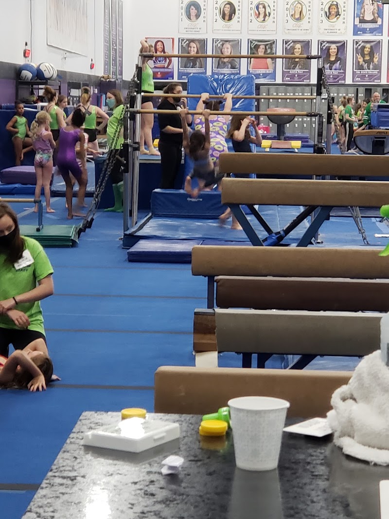 Clarksville Elite Gymnastics Center photo 2