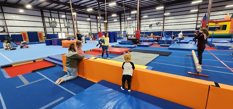 Five-Star Gymnastics Academy of Ohio photo 2