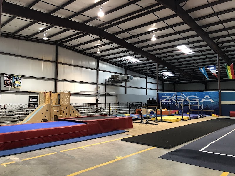 Zero Gravity Gymnastics and Cheer photo 2