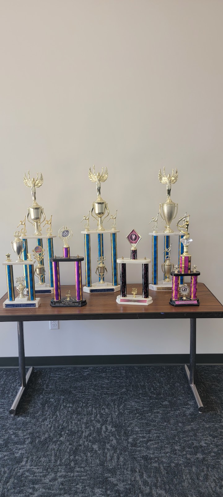 Worthington Youth Boosters Gymnastics photo 3