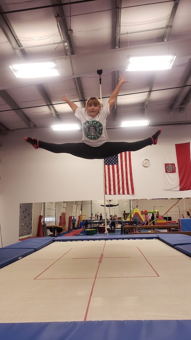 Wojteks Gymnastics