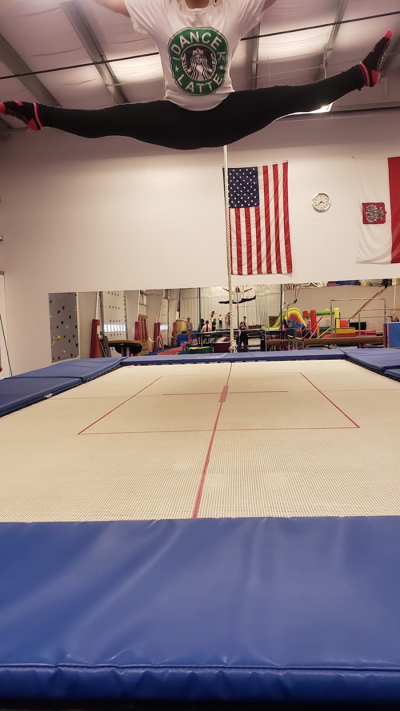 Wojteks Gymnastics photo 2