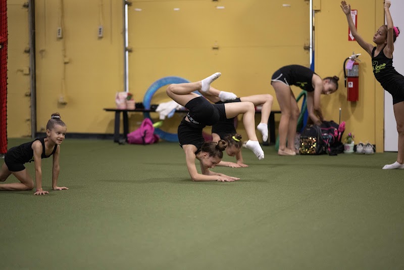 Charlotte Rhythmic Gymnastics Center photo 1