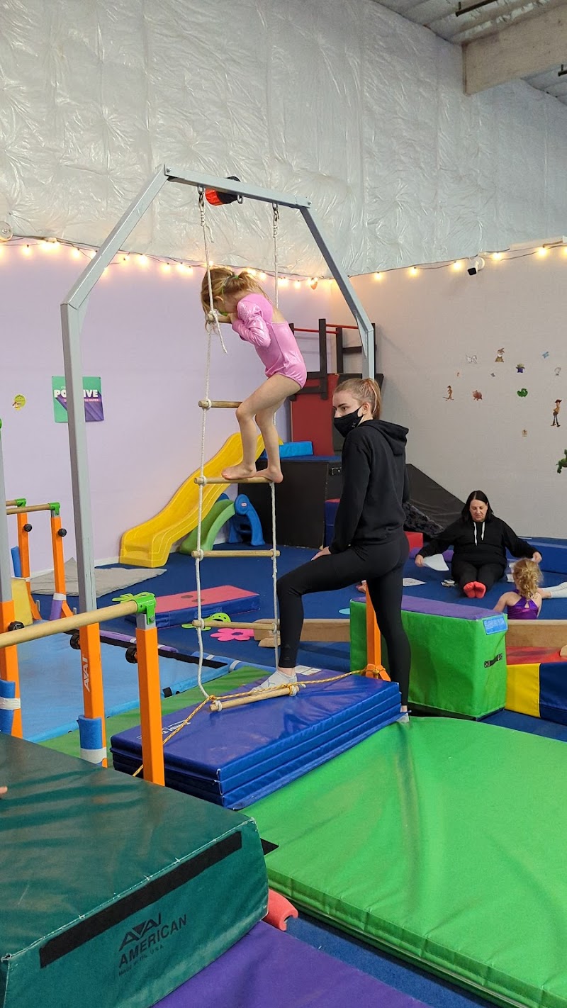 Eastside Gymnastics Academy photo 3