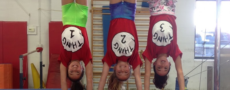Odyssey Gymnastics photo 2