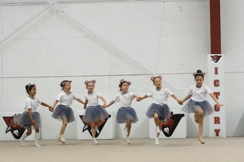 Victory Rhythmic Gymnastics photo 2