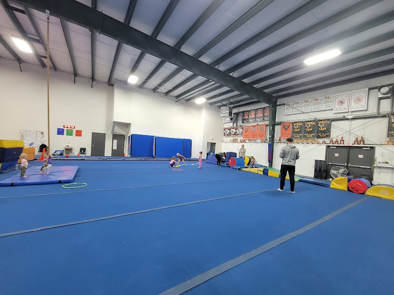 Ultimate Fusion Athletics photo 2