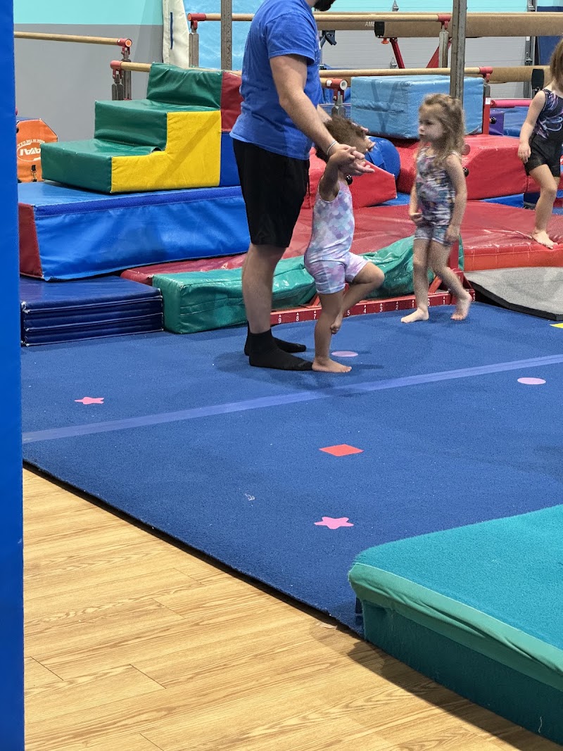 Legacy Gymnastics photo 3