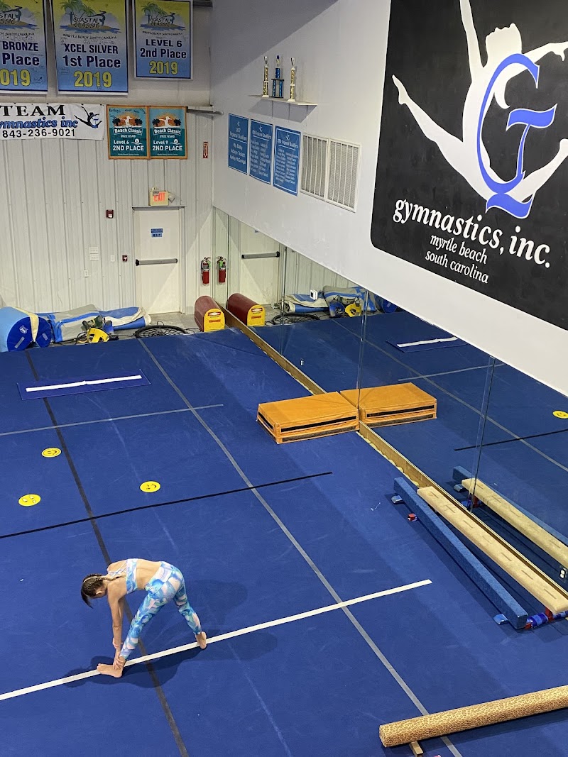 Gymnastics Inc. photo 3