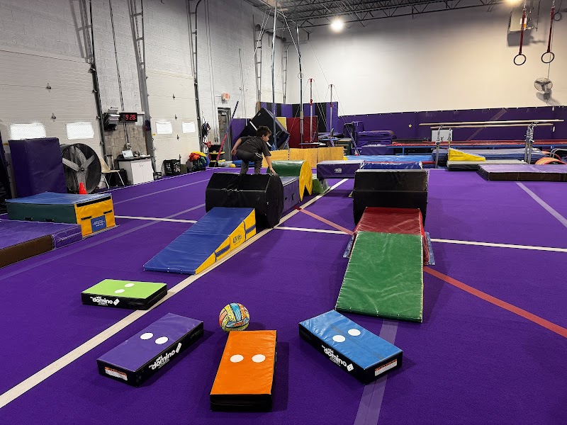 Wildcard Gymnastics photo 2