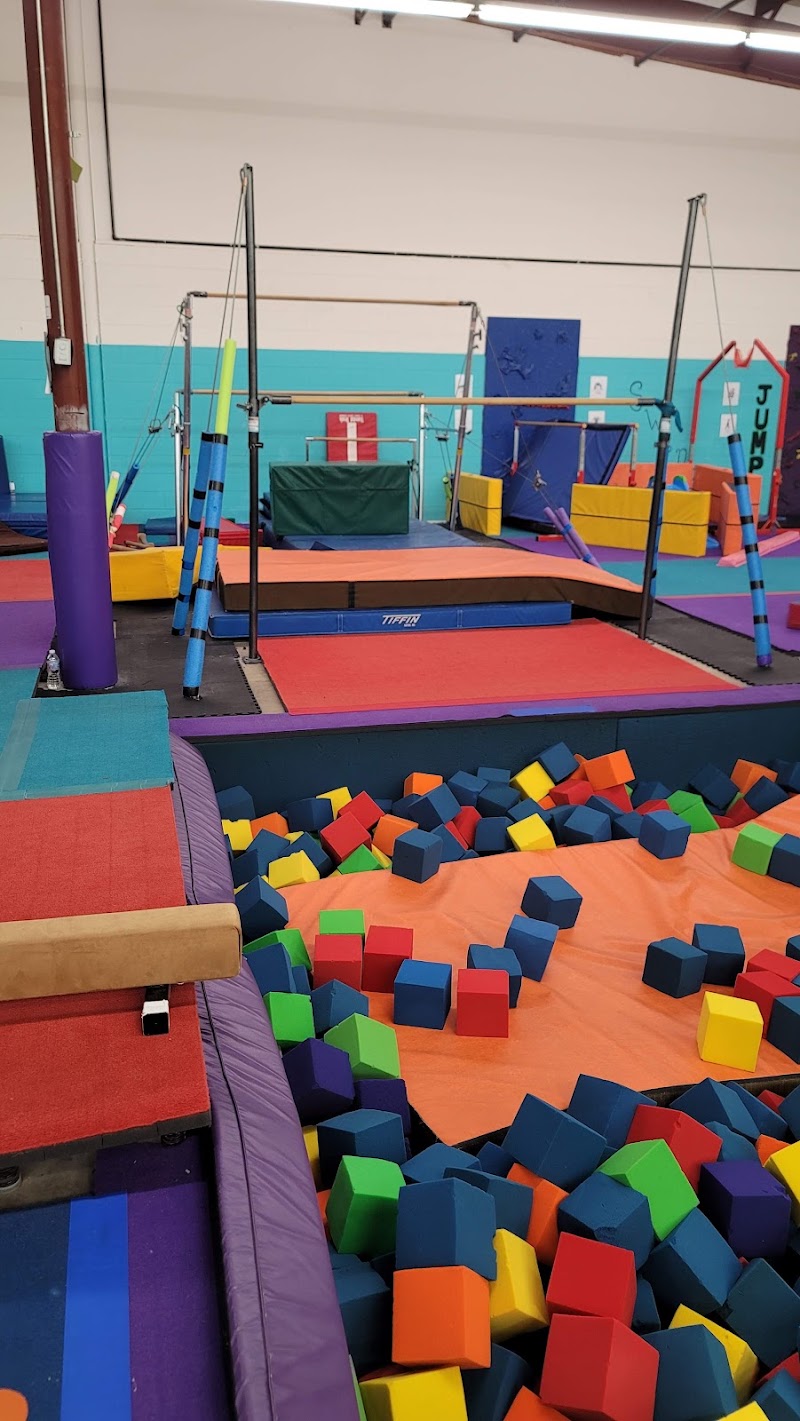 Gym Skills Cincinnati