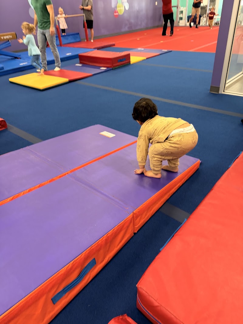 The Little Gym of Dunwoody, GA