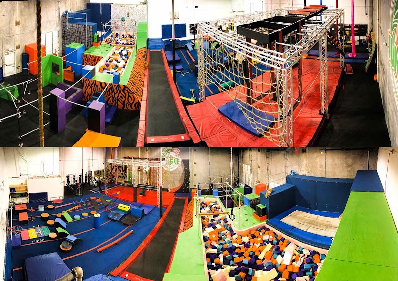 The Jungle Movement Academy photo 3