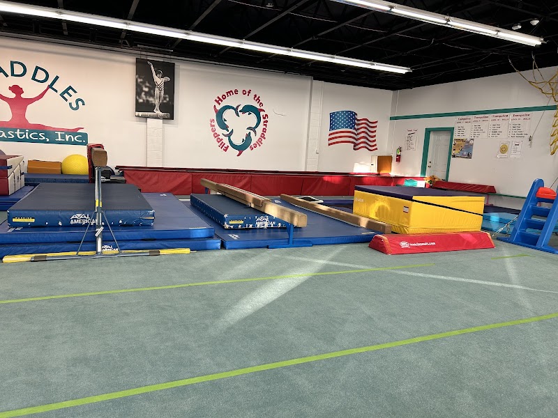 Straddles Gymnastics, Inc. photo 2