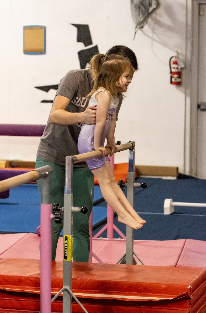 Horizon Gymnastics and Cheer Academy photo 3