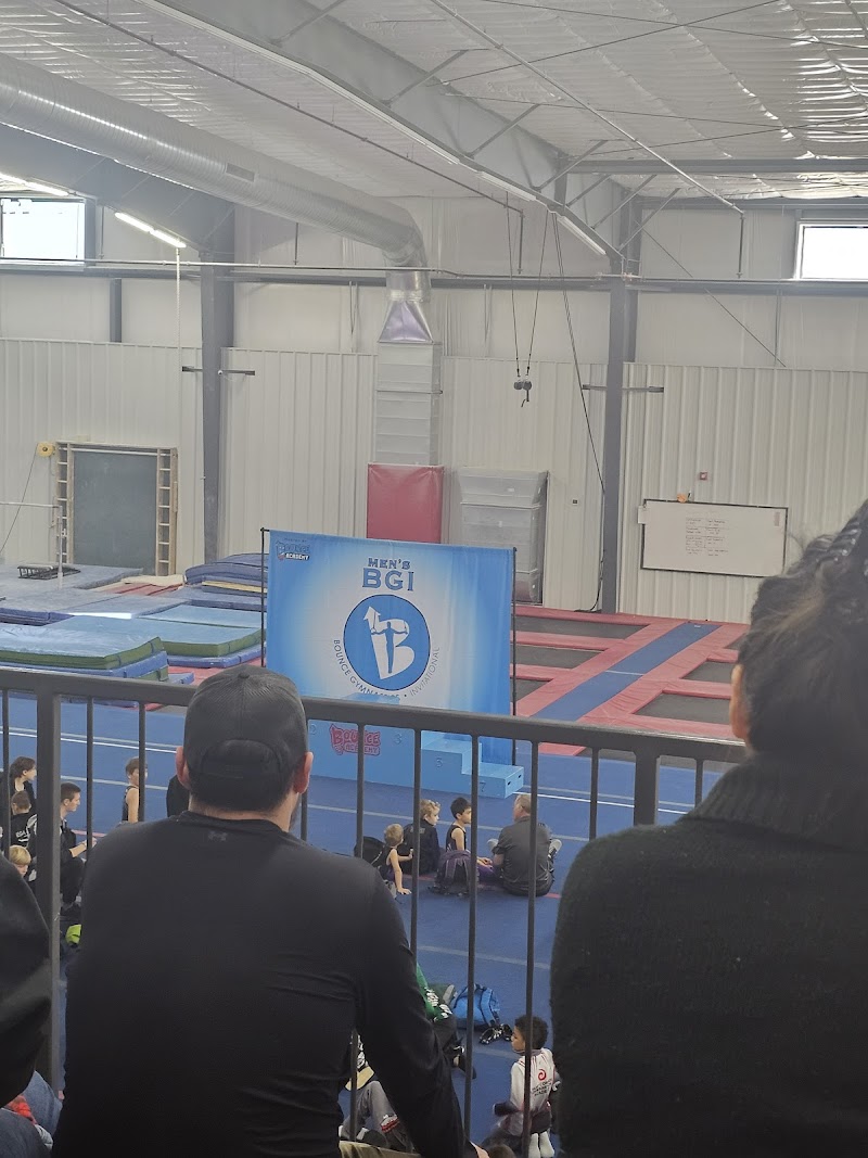 Bounce Academy Gymnastics photo 3