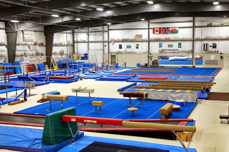 Gymnastics Michiana photo 2