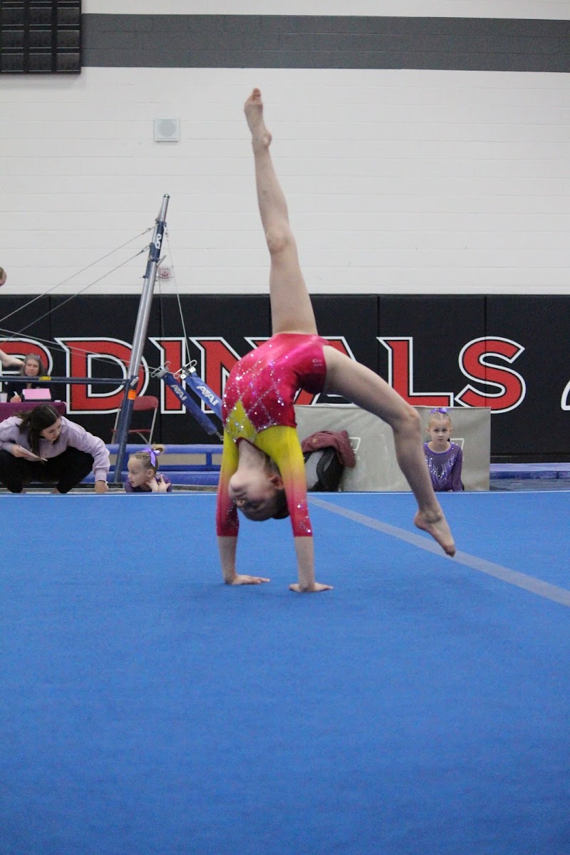 Omega Gymnastics photo 2