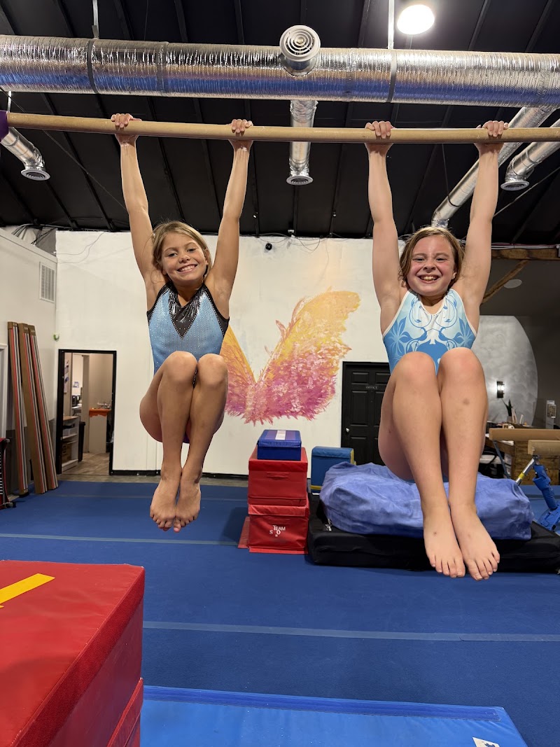 Omega Gymnastics photo 3
