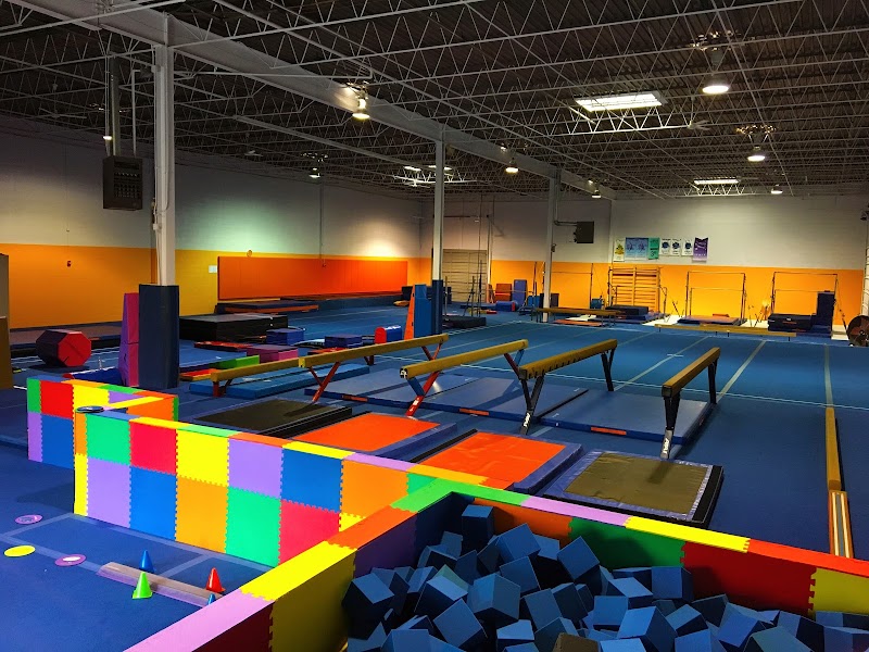 Professional Gymnastics Center photo 2
