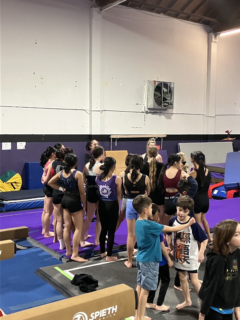 Pacific Edge Gymnastics Academy photo 2