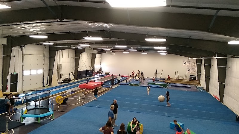 All American Gymnastics and Sports Center photo 2