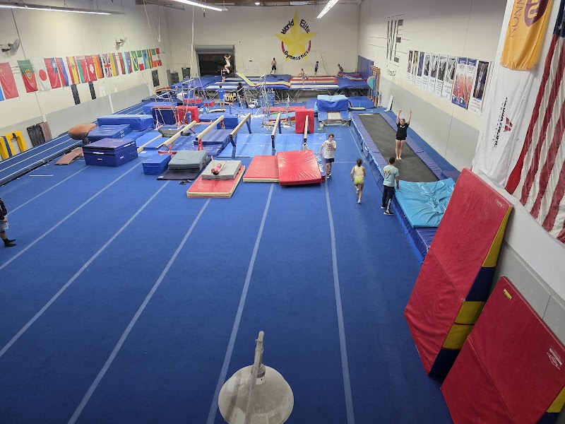 World Elite Gymnastics photo 2