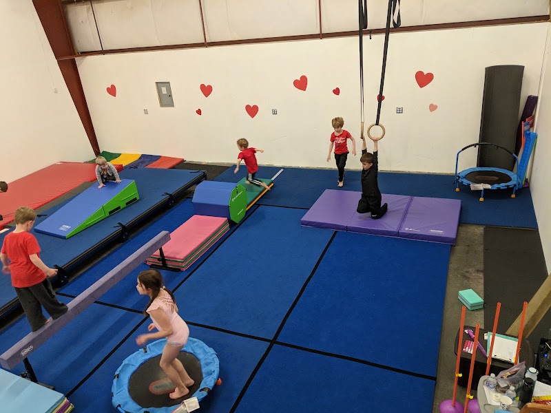 Tumblebears Gym photo 3