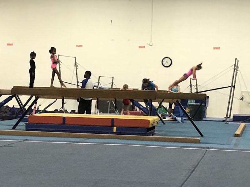 Defying Gravity Gymnastics photo 2