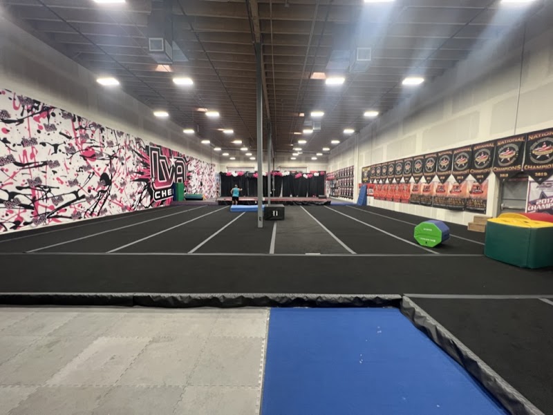 Las Vegas All Stars photo 2