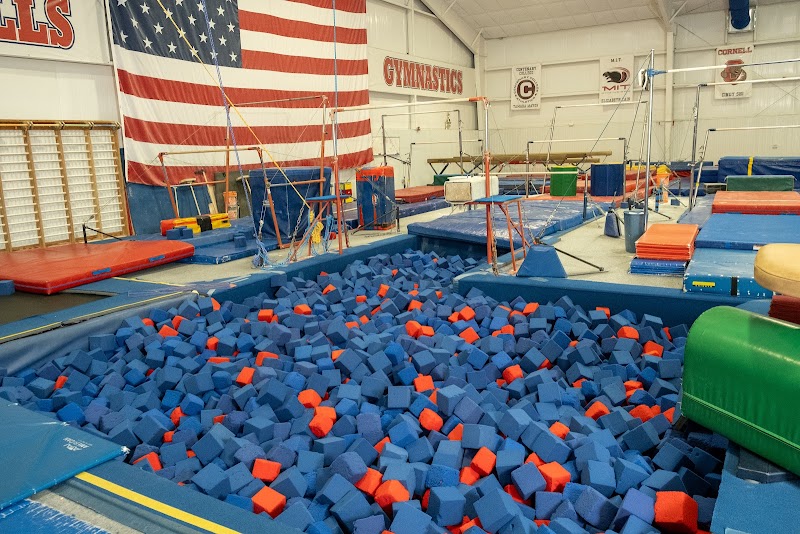 Olympia Hills Gymnastics photo 2