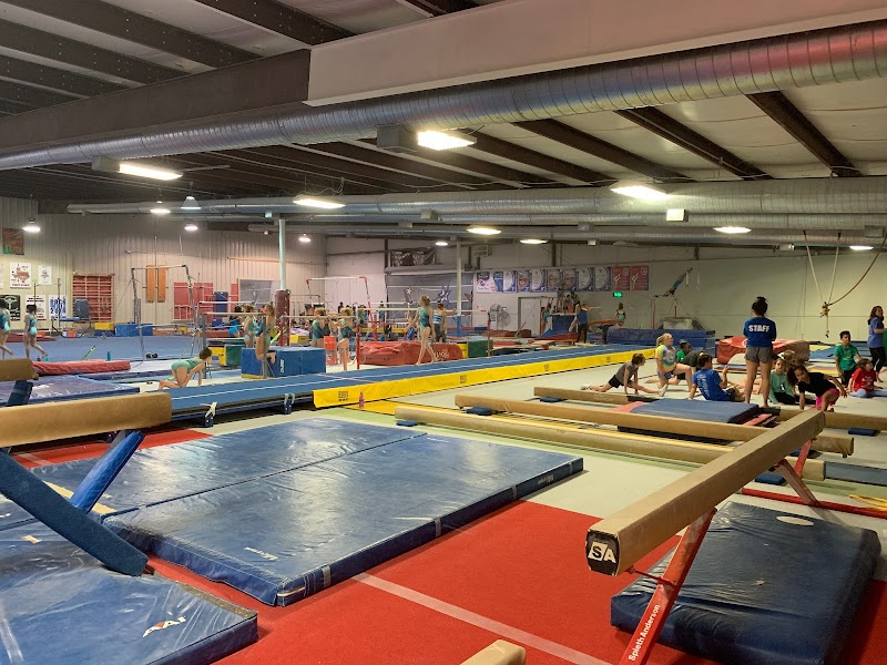 United Elite Gymnastics N Cheer