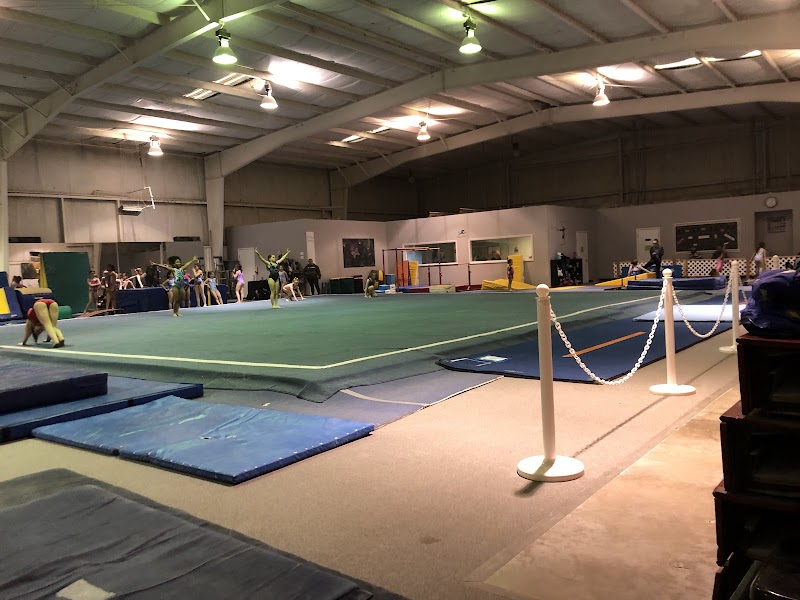 Ultimate Gymnastics