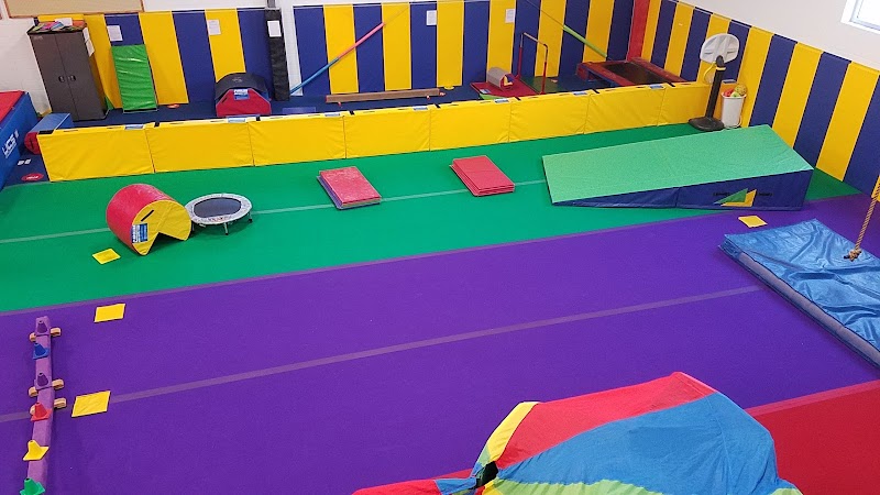 Aerial East Gymnastics photo 2