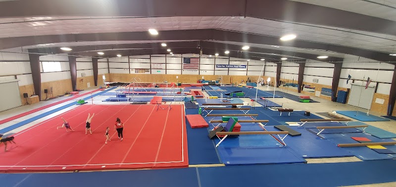 Paradigm Gymnastics