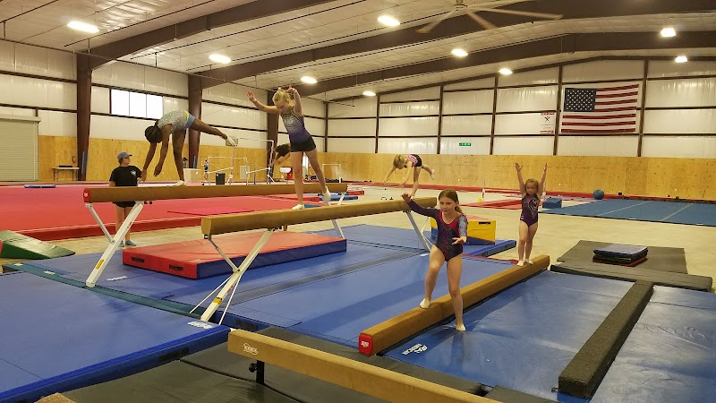 Paradigm Gymnastics photo 2