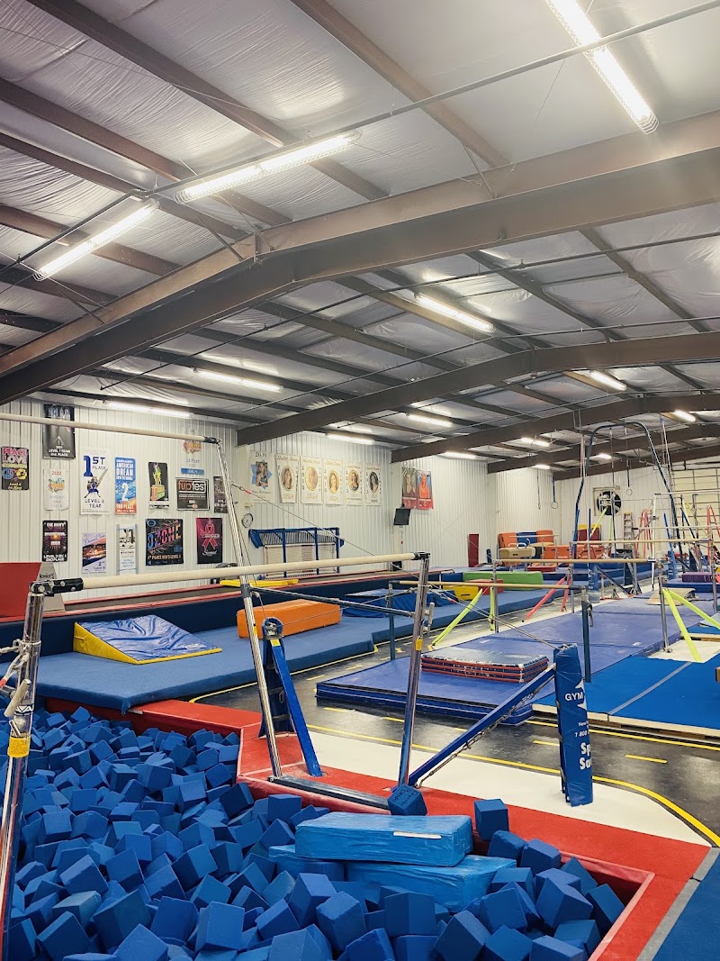 S.E.G.A. Gymnastics and Cheer