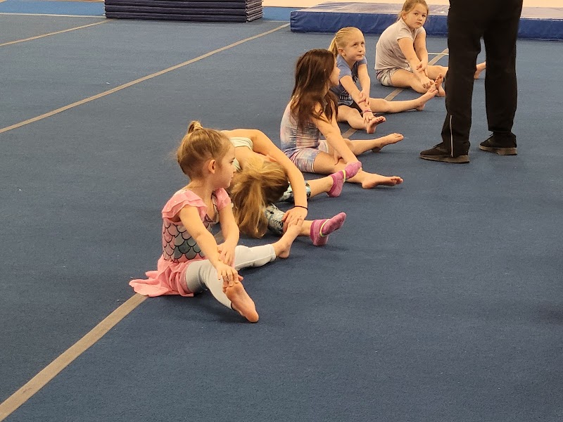 S.E.G.A. Gymnastics and Cheer photo 3