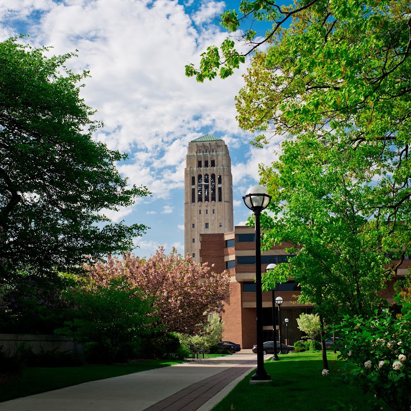 University of Michigan photo 2