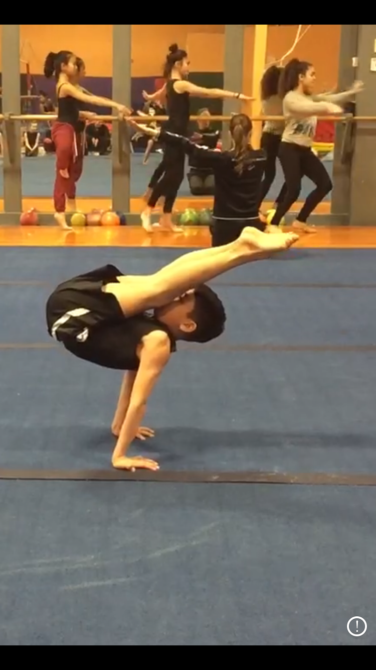 Gymnastics World photo 3
