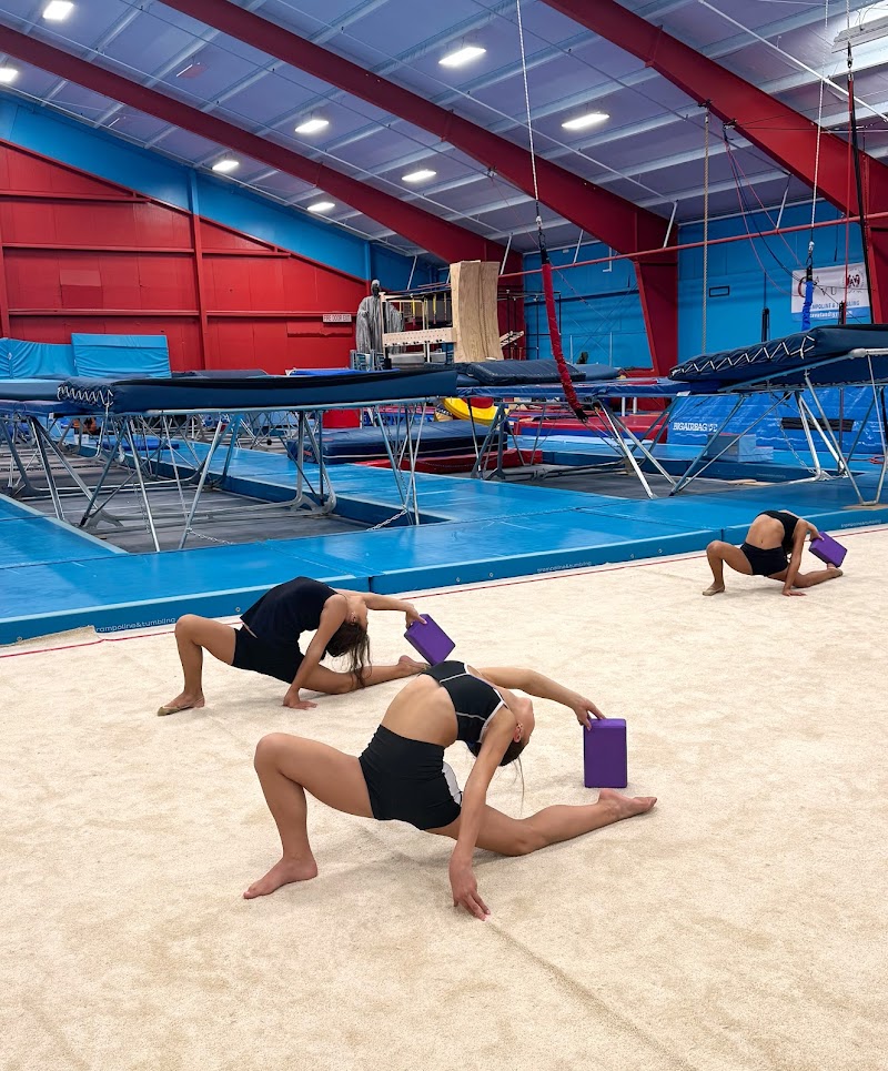 Bloom Gymnastics photo 2