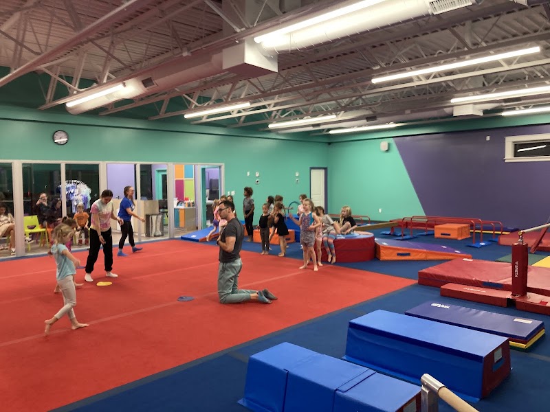 The Little Gym of Cincinnati-Hyde Park photo 2