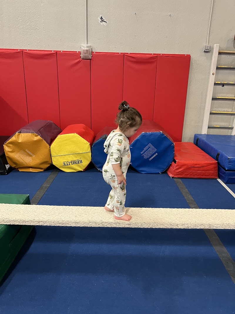 KIAGA (Kids in Action Gymnastics Academy) photo 3